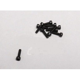 Zylinderschraube schwarz M2.5 x 10 10Stück
