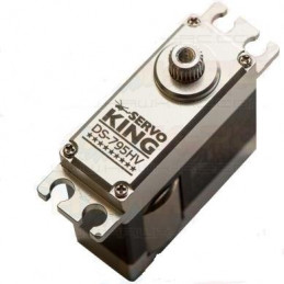 HV-Digital Mini DS-795 (6~8.4V)