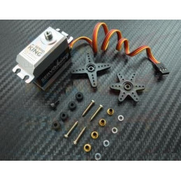 HV-Digital Servo DS-695 (6~8.4V)