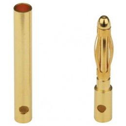 2mm Goldstecker & Buchse (Lang)